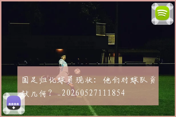国足归化球员现状：他们对球队贡献几何？_20260527111854